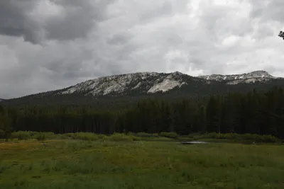 DSC_4490 (Large).JPG